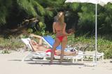 Nicolette Sheridan Bikini Picture and Michael Bolton