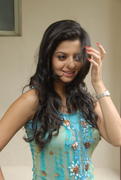 Actress Vedika High Quality Photos hot images