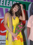 Actress Sneha Ullal Hot Photos hot images