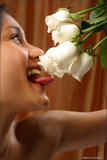 Kamilla - White Rose60ggud62mc.jpg